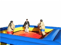 Inflatable Sumo Wrestling Arena