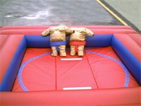 Inflatable Sumo Wrestling Ring