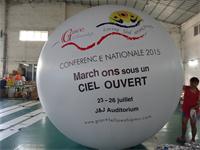 Printed Balloon 3m Diameter