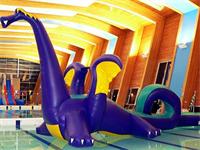 High Density Aqua Runs Loopy Dragon Obstacle Course for Sale