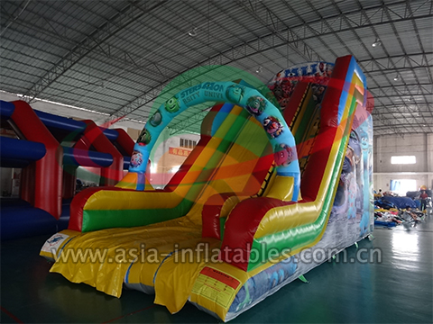 Inflatable Single Slide With Arch