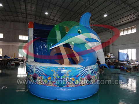 Medium Inflatable Fish Slide