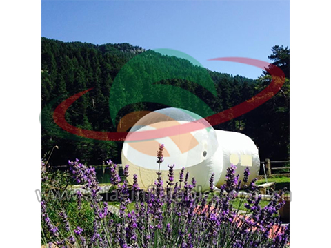 Outdoor Inflatable Transparent Bubble Tent