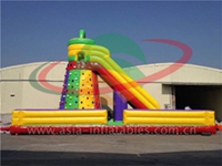 Inflatable Slide With Rock Climb