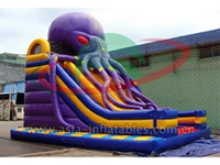 Purple Octopus Slide