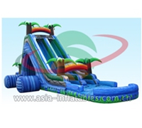 Wild Splash Inflatable Water Slide