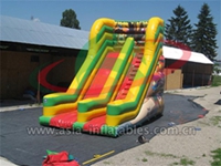 Medium Jungle Theme Slide