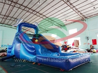 Home Use Inflatable Blue Water Slide