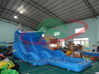 Inflatable Super Splashdown Dolphin Water Slide