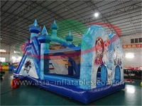 Inflatable Princess Bouncer Combo For Event