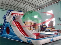 Inflatable Shark Water Slide With Pool