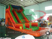 Inflatable Water Slide With Splash Water Pool