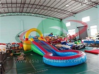 Inflatable Home Use Water Slide