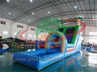 Inflatable Single Palm Tree Water Slide