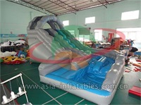 Inflatable Wild Rapids Water Slide