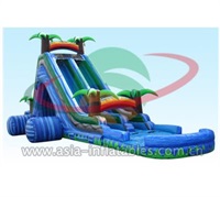 Wild Splash Inflatable Water Slide