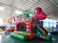 Inflatable Dragon Jumping Castle