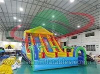 Inflatable Double Lane Slide With Palm Tree