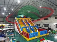 Giant Inflatable Double Wave Lane Slide