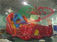 Giant Inflatable Clown Slide