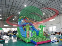 Inflatable Sarafi Slide