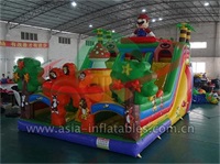 Inflatable Mario Cartoon Slide