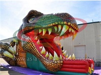 Inflatable Dragon Head Slide