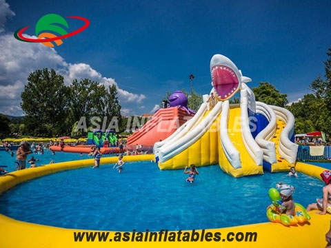 Hot Sales Amusing Inflatable Water Park with Shark Slide
