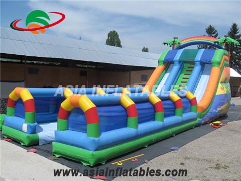 Tropical Dual Lane Water Slide With Slip N Slide