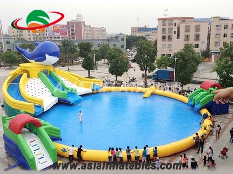New Design India Dolpine Inflatable Water Park for Sale