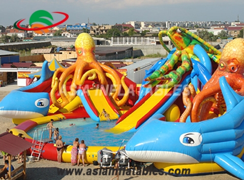 CE Approval Inflatable Water Park with Octopus Slide