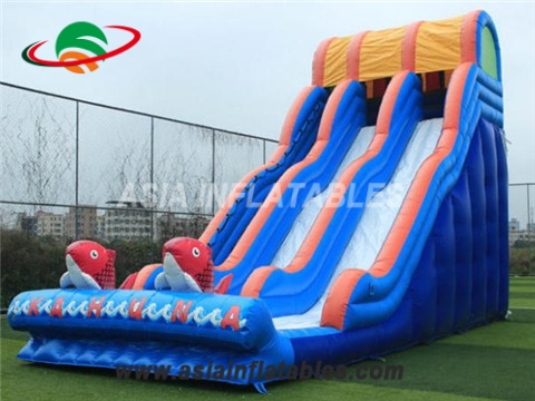 20 foot big wave water slide