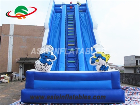 Blue Cartoon Theme Inflatable Water Slide With Double Lane