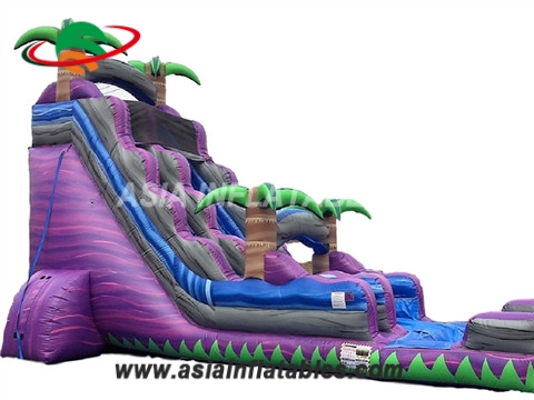 Purple Crush Inflatable Water Slide Rental